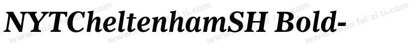 NYTCheltenhamSH Bold字体转换
